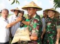 DanRem 084 BJ dan PemKab Sidoarjo Gencarkan Olah Tanah dan Padi