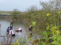 26 Ribu Bibit Mangrove Ditanam di Laguna Pantai Depok dan Samas
