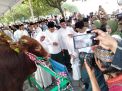 Sapi Kurban Jokowi, Gubernur Jatim dan Forkopimda Laris untuk Swafoto