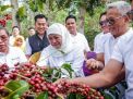 Gubernur Khofifah: Dongkrak Pasar Ekspor Kopi Lewat Communal Branding 