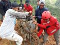Satu Korban Meninggal Dunia Ditemukan Tim Gabungan Pasca Longsor Luwu