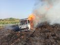 Korsleting di Bagian Listrik, Truk Terbakar Sambar Lahan Tebu