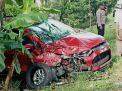 Diduga Ngantuk, Mobil Tabrak Pohon dan Masuk Parit