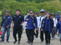 DPW NasDem Jatim Tanam Ribuan Mangrove di Tegaldlimo, Banyuwangi 