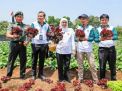 Gubernur Khofifah dan Pangdivif 2 Kostrad Tanam Pohon dan Panen Sayur