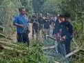 Terdera Hujan, Rumpunan Bambu Ambrol Tutup Akses Jalan di Madiun