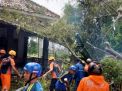 Di Terjang Hujan Angin Pohon Peneduh Tumbang, Timpa Rumah Warga