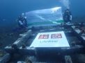  UNIQLO Ajak Masyarakat dan Komunitas di Bali untuk Melindungi Laut