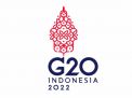 Pesan Mangrove Indonesia di G20: Atasi Krisis Iklim