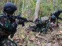 Marinir Kejar Musuh Hingga Hutan Selogiri Kalipuro, Banyuwangi