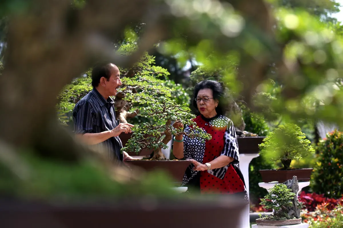 Indahnya Bonsai Koleksi Jeanne Wenas