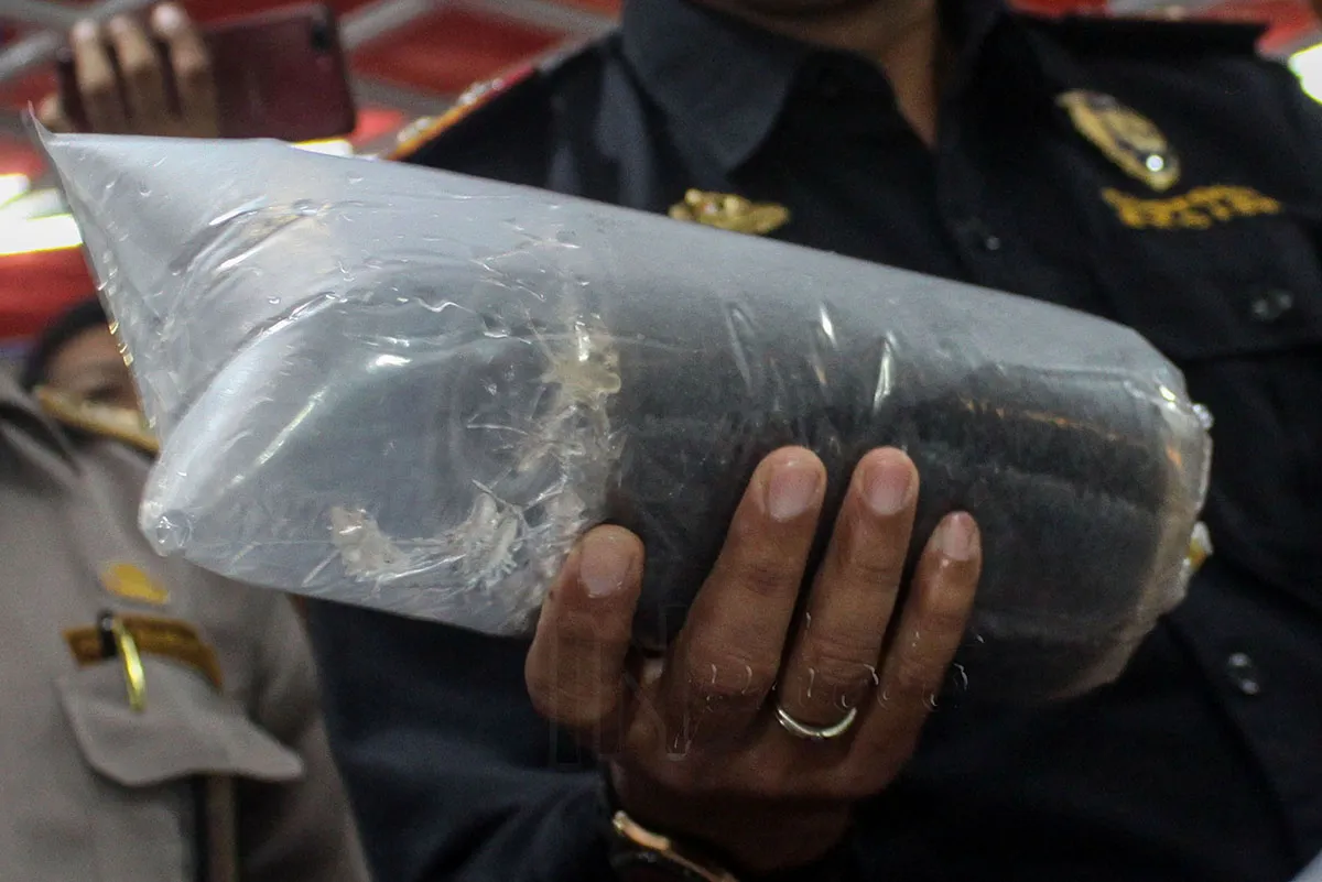 Benih Lobster Miliaran Rupiah Gagal Diselundupkan
