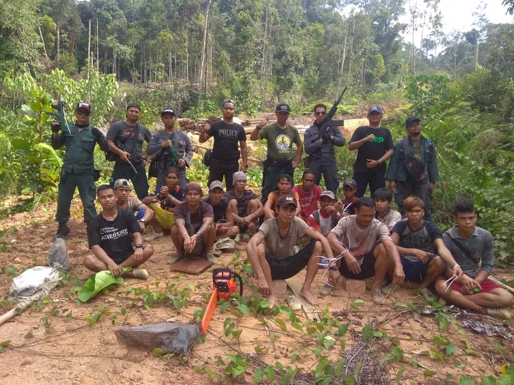 Belasan Pembalak diringkus di Perbatasan RI-Malaysia   