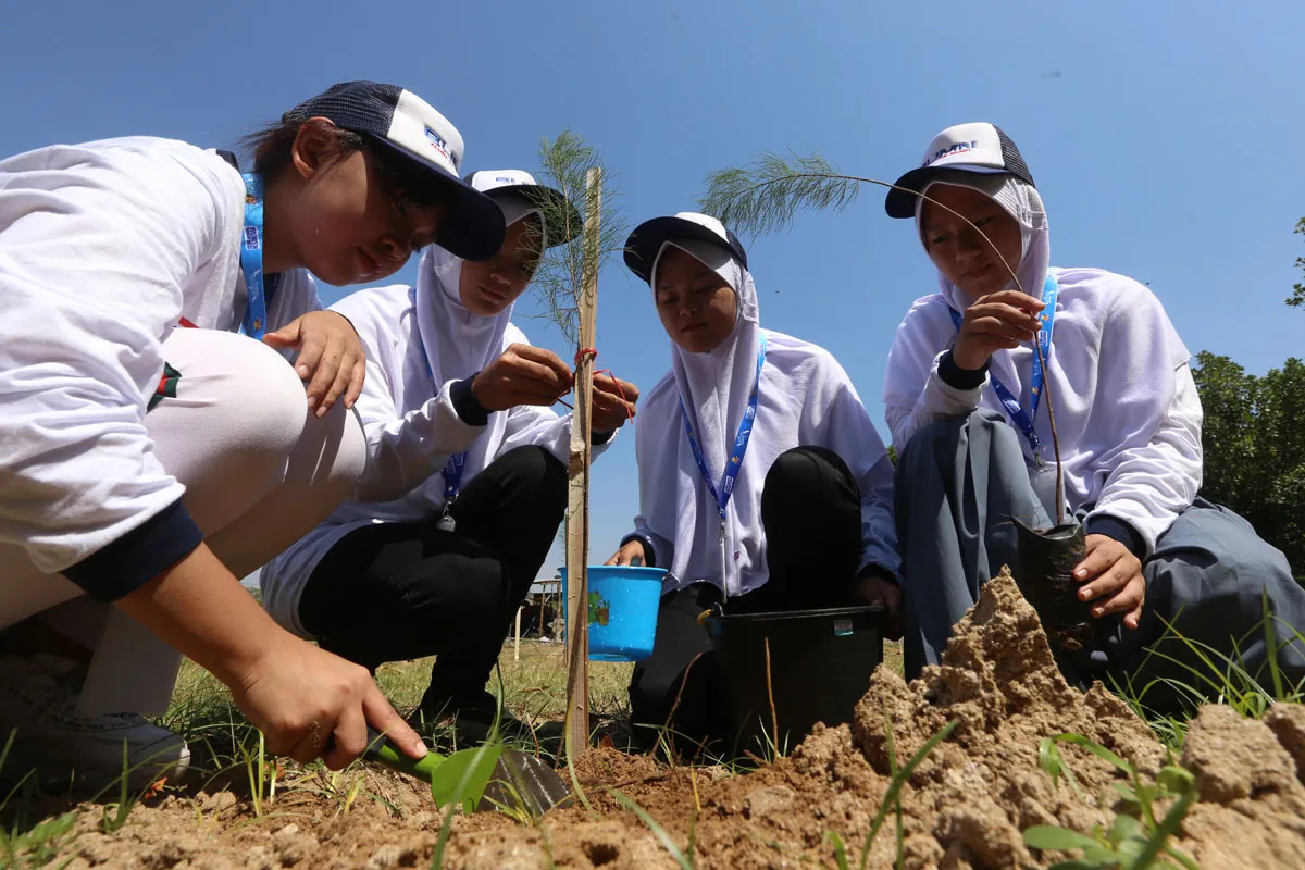 SMN Provinsi Gorontalo Tanam Puluhan Ribu Pohon Cemara Laut di Tuban