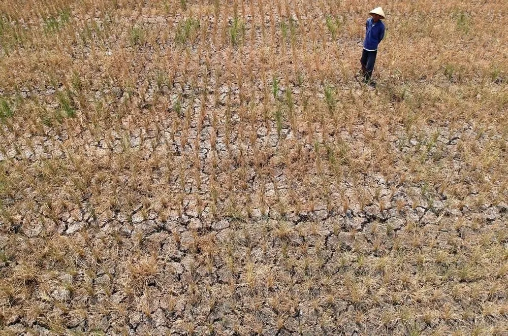Jatim Darurat Kekeringan