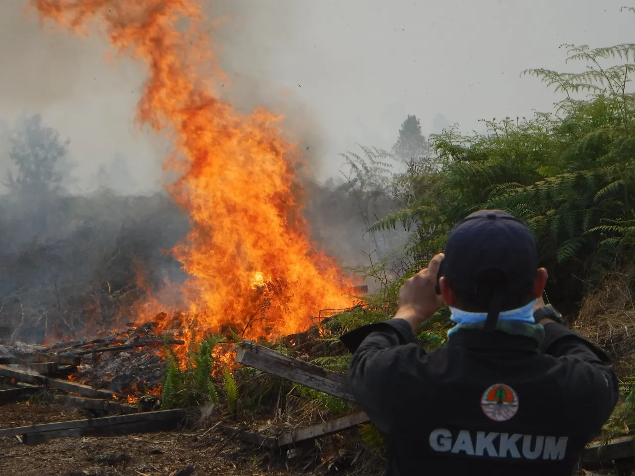 Balai Gakkum Kalimantan Tetapkan UB Sebagai Tersangka Pembakatan Lahan