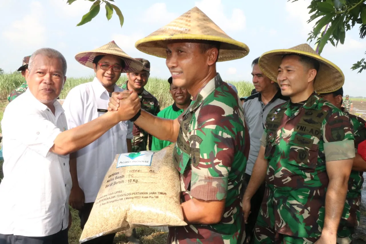 DanRem 084 BJ dan PemKab Sidoarjo Gencarkan Olah Tanah dan Padi