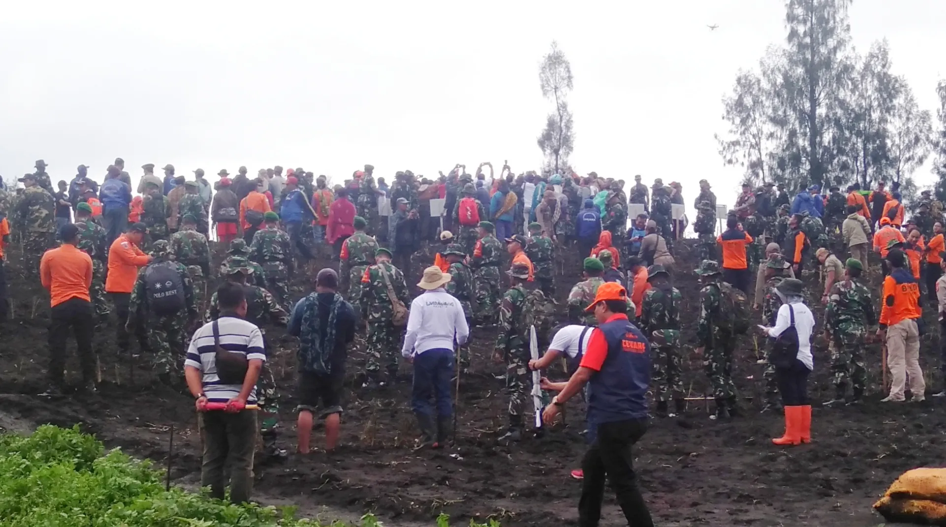 Gubernur Khofifah dan Pangdam Brawijaya Tanam Vetiver di Lereng Semeru