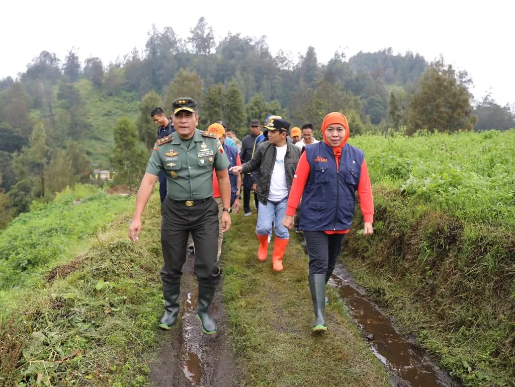 50 ribu Rumput Vertiver Disebar di Ranupani Lumajang