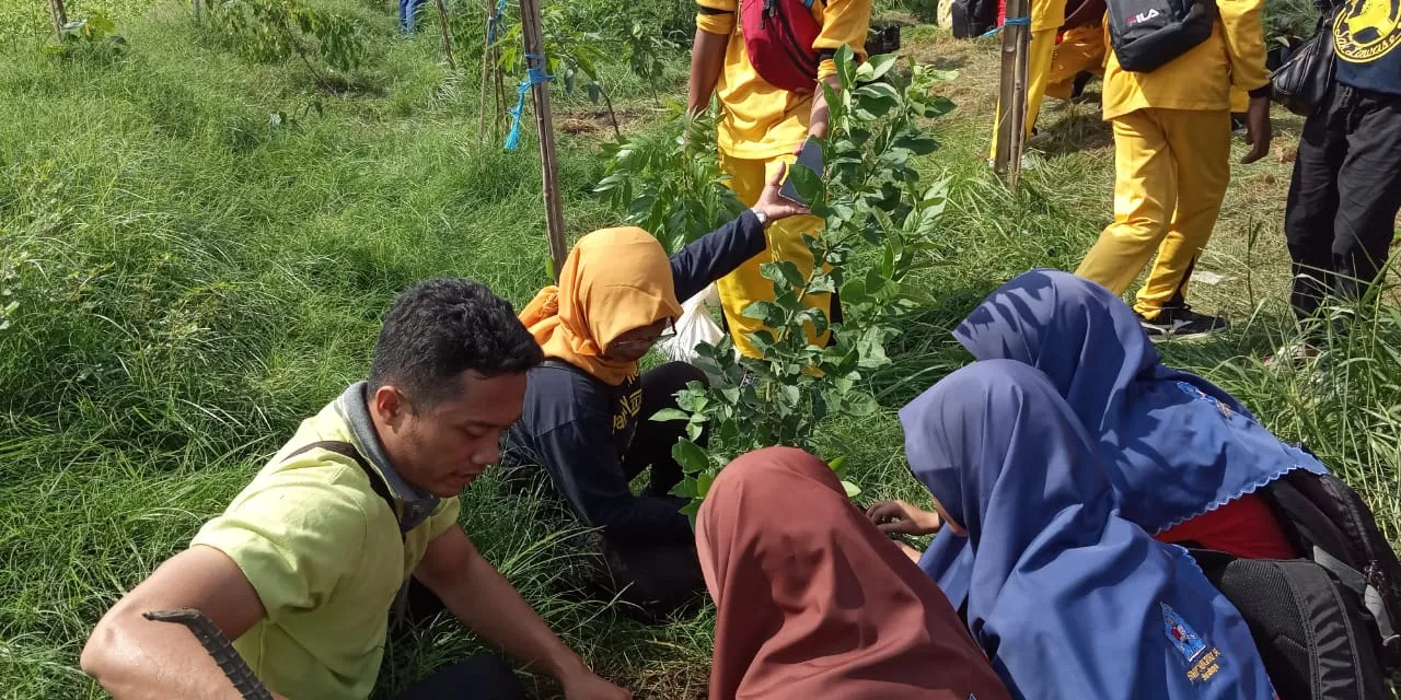 Siswa dan Orang Tua SMPN Surabaya Ini  Meriahkan Family Tree Planting