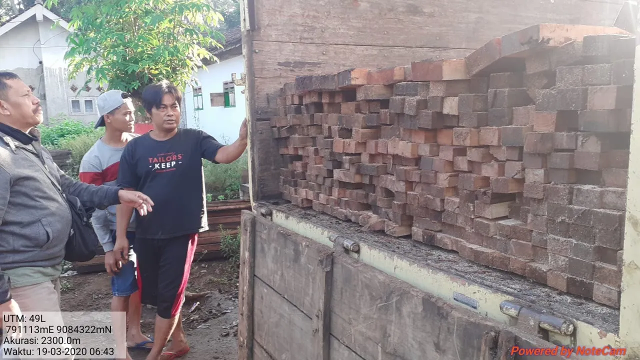 KLHK Menangkap Pelaku Illegal Logging di Taman Nasional Meru Betiri 
