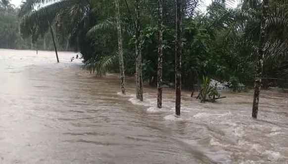 Di Kabupaten Aceh Jaya, 20 Desa Terendam Banjir