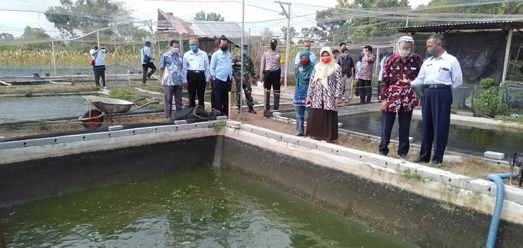 Budidaya Ikan Berbasis Kawasan Di Bantul Bangkit Kembali 