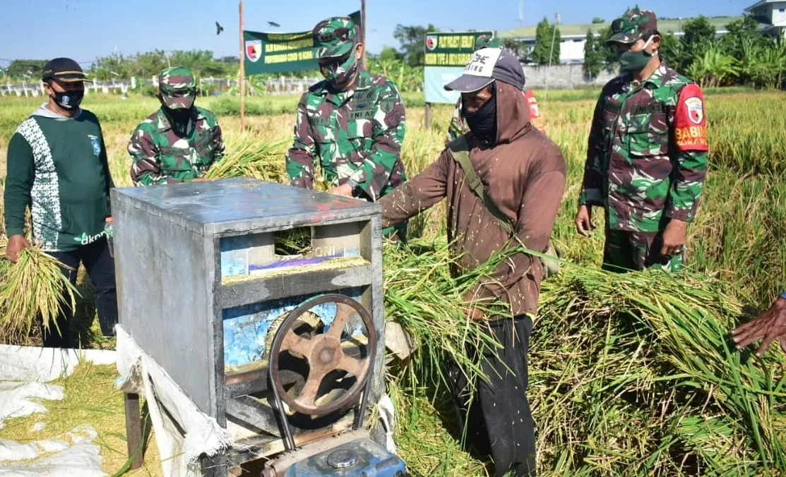 Ini Langkah Nyata Antisipasi Krisis Pangan Saat Pandemi Covid-19
