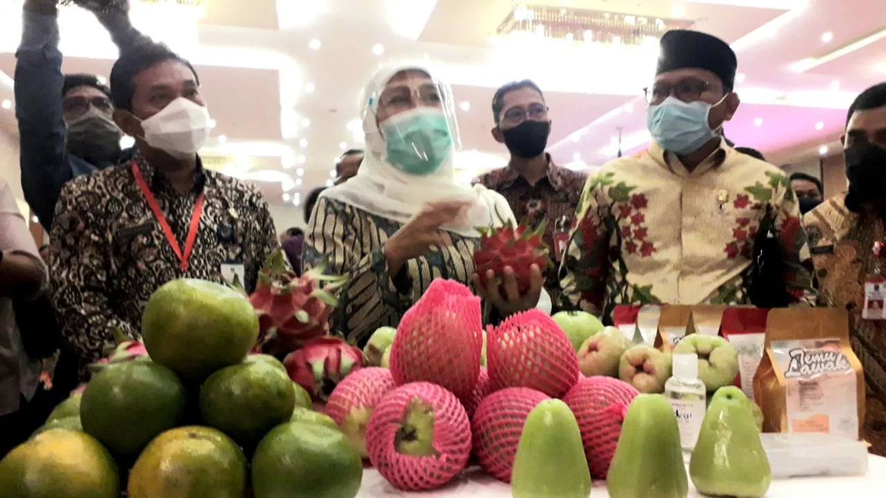 Gubernur Khofifah Ajak Generasi Millenial Geluti Sektor Pertanian
