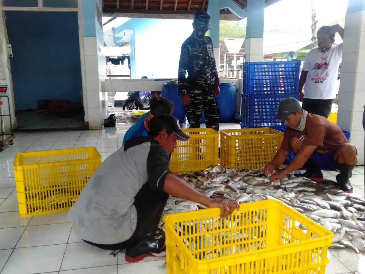 Puluhan Perahu Nelayan Di Bantul Ikut Lomba Tangkap Ikan di Laut 