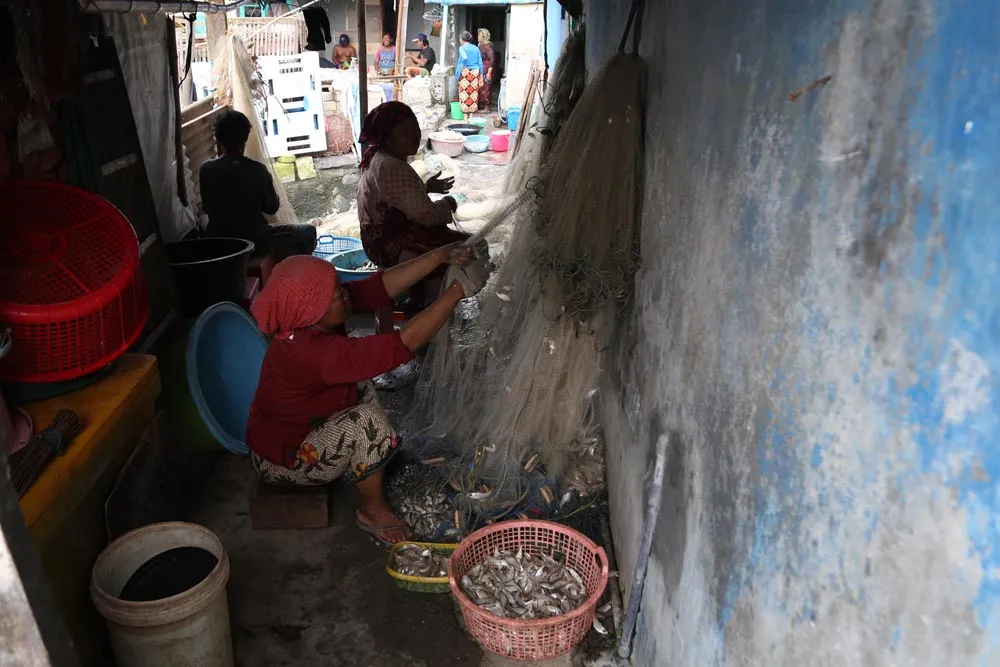 Tahu dan Tempe Langka, Ikan Tangkapan Nelayan Bisa Jadi Solusi