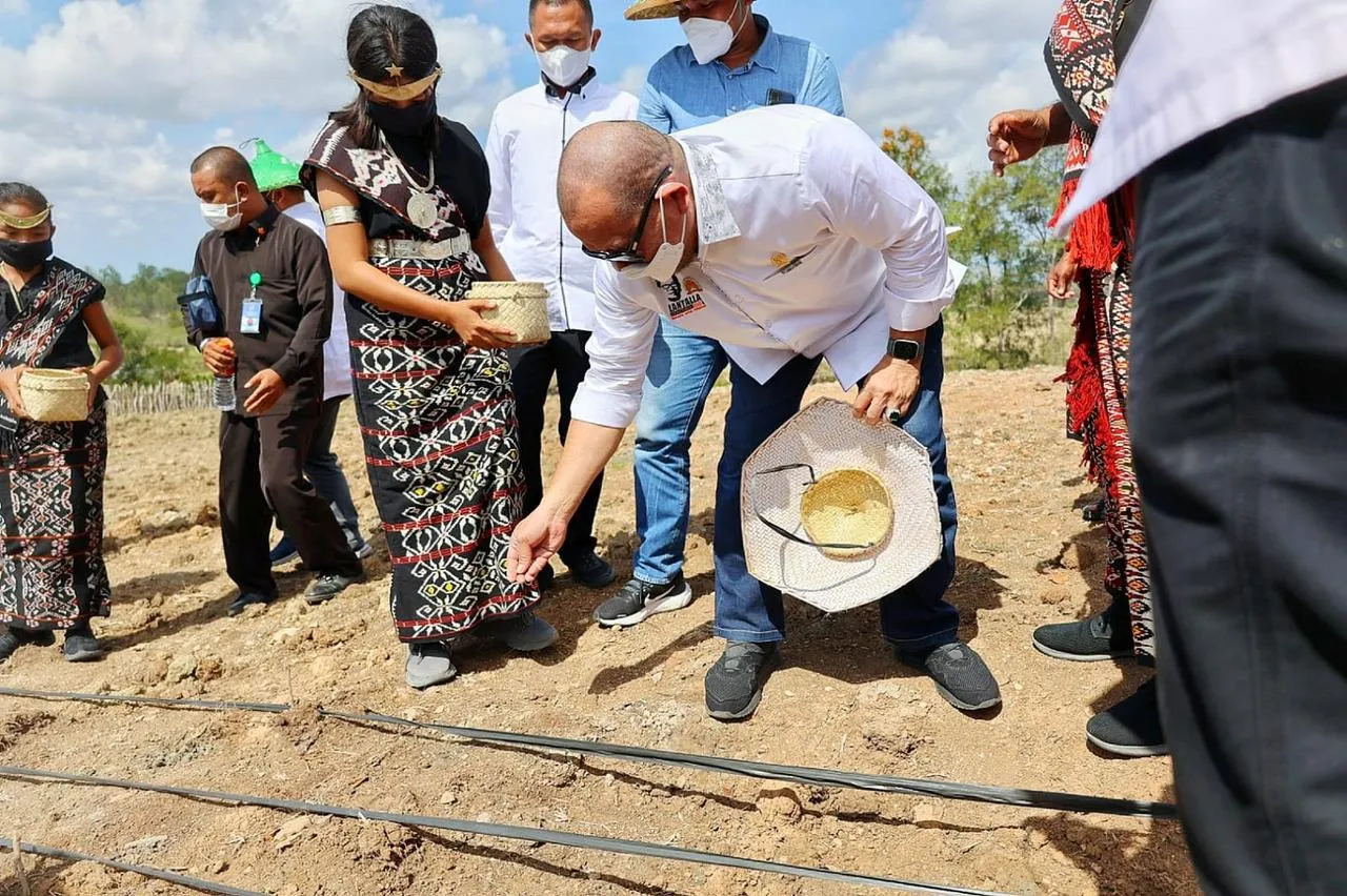 LaNyalla Minta Pangan Lokal Diperkuat