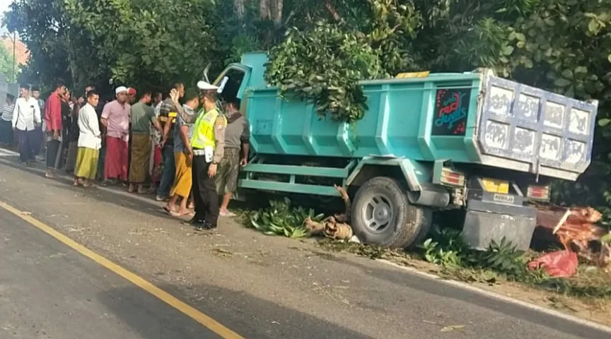 Sopir Truk Tewas, Setelah Alami Laka Tunggal 