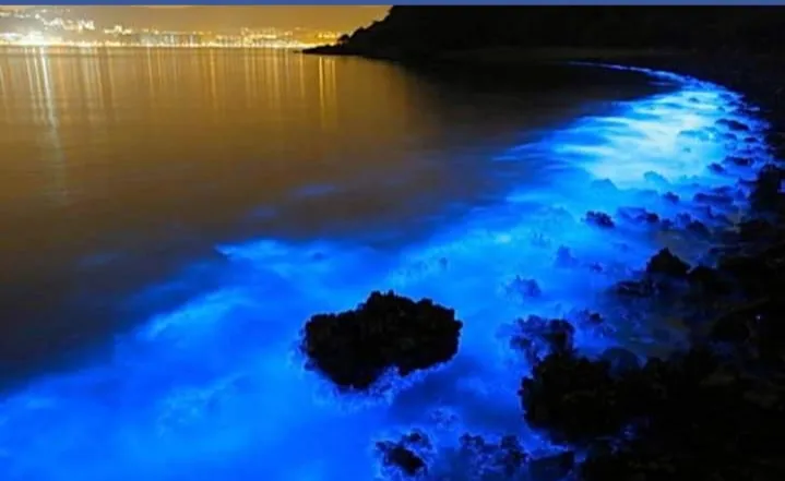 Laut Jawa Selatan dan Kaitannya dengan Tsunami Setinggi 20 Meter