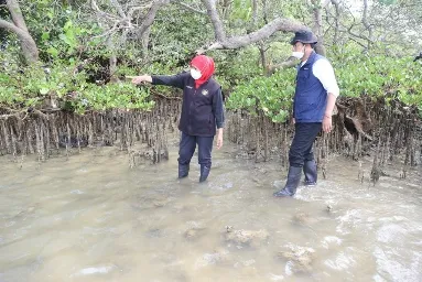 Kurangi Emisi Karbon, Gubernur Khofifah Ajak Kontribusi Semua Pihak
