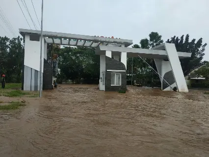 Korban Meninggal Dunia Akibat Banjir Jember, Tiga Orang