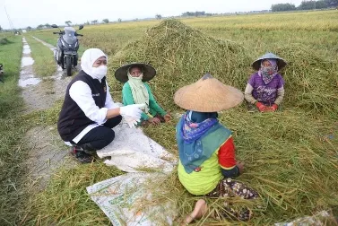 Gubernur Khofifah: Jatim Turut Wujudkan Kedaulatan Pangan Nasional