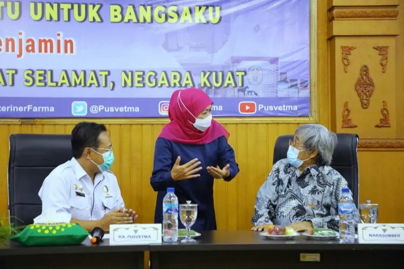 Gubernur Khofifah Pastikan 15 Kab/Kota di Jatim Zona Hijau PMK 