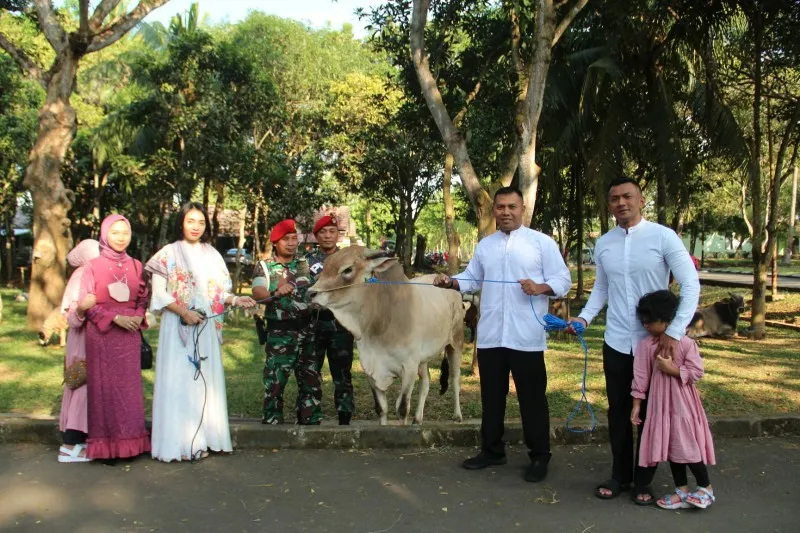 Grup 1 Kopassus Sembelih 7 Sapi dan 69 Ekor Kambing 