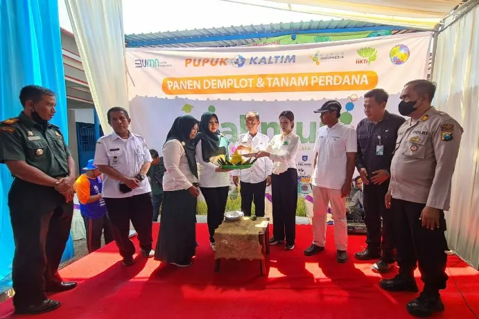 Sisi Lain di Panen Jagung Program Agrosolution di Jember