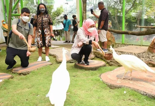 Khofifah Ajak Tingkatkan Peduli, Lindungi, Lestarian Puspa dan Satwa Jatim
