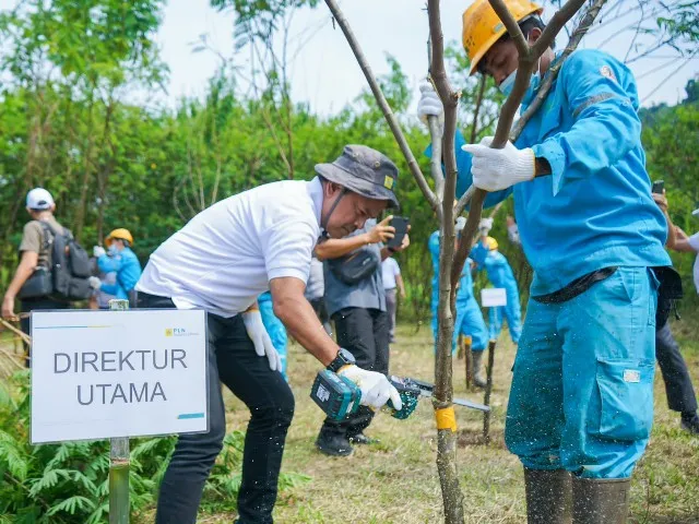 Renewable Energi Kebun Kaliandra PLN NP Pasok Bahan Baku Co-firing PLN