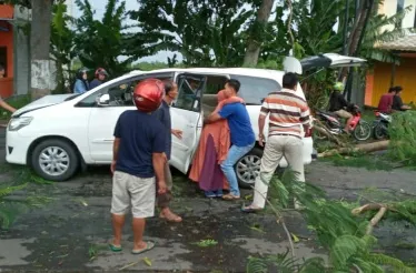 Mobil Keluarga Dari Surabaya Tertimpa Pohon di Magetan