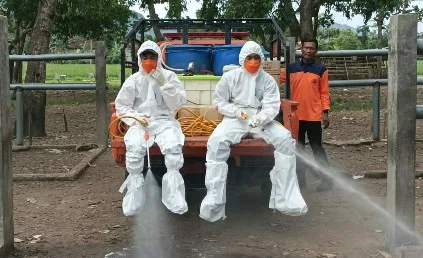 BPBDJatim dan Stakeholder Terkait Pastikan Daging Sapi Aman Dikonsumsi