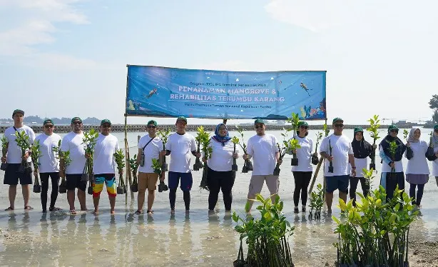Lawan Abrasi Dengan Mangrove dan Terumbu Karang 