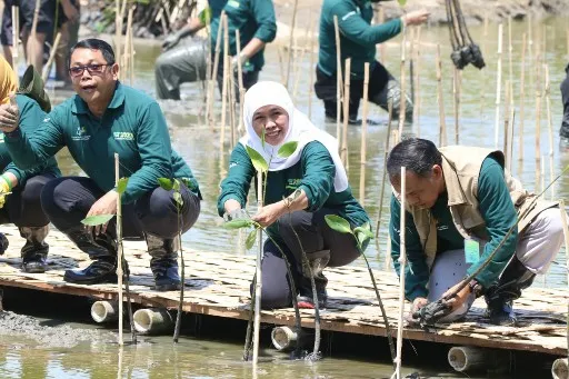 Khofifah: Masifkan Tanam Dan Lestarikan Mangrove Untuk Sedekah Oksigen