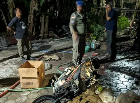 14 Ekor Ternak Kambing Berubah Jadi Kambing Guling
