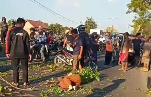 Gadis Pengendara Motor Tewas Tertimpa Pohon Tumbang