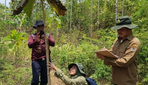 Sukses Reboisasi, Lakom PT BSI Tercatat Terluas