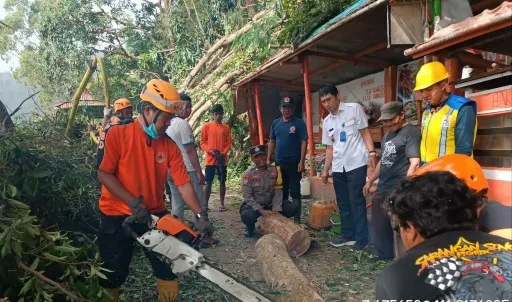Wisatawan Telaga Sarangan Harus Waspada, Cuaca Ekstrim Robohkan Pohon